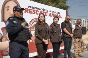 Screenshot_20240211-104345