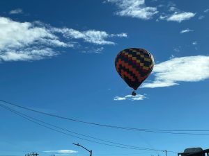IMG-20240713-WA0013