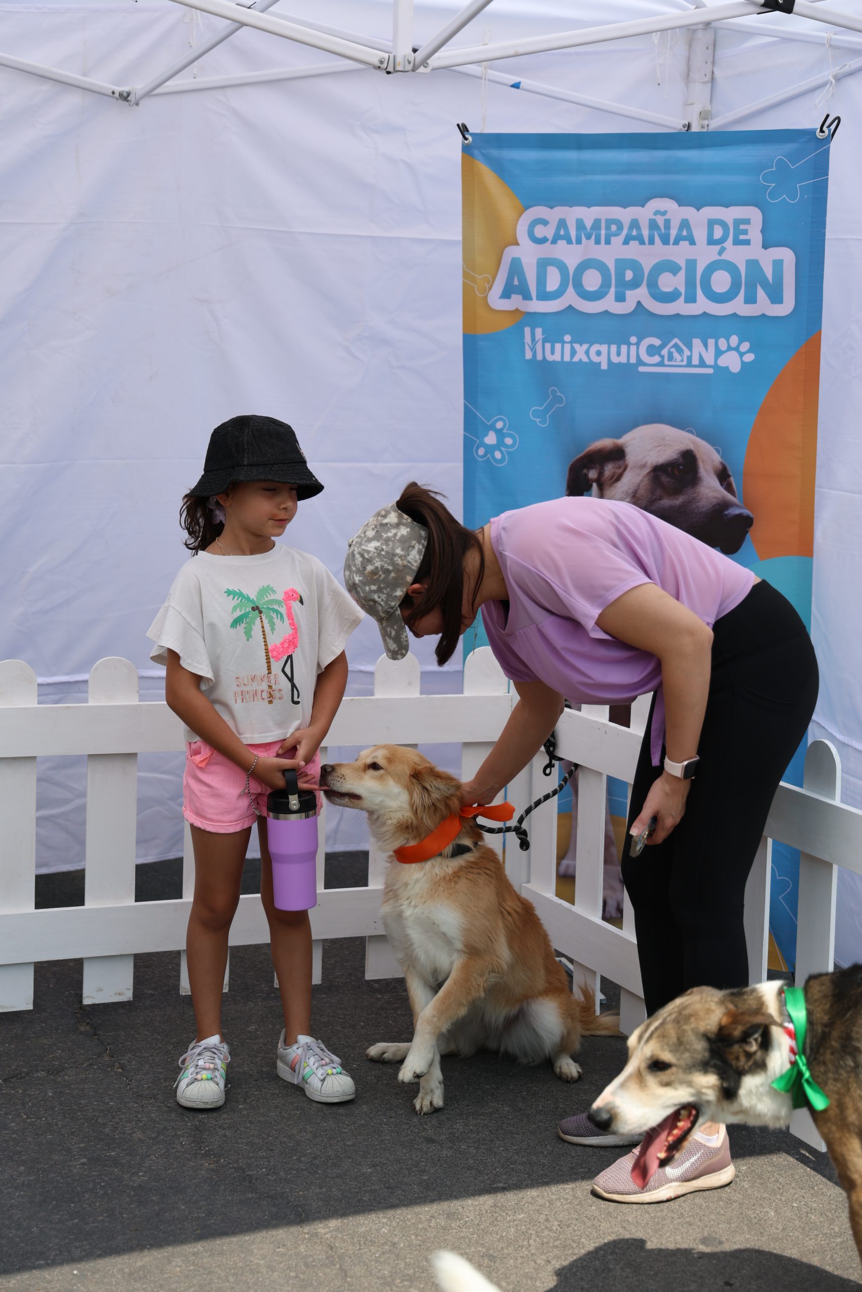 Huixquilucan Romina Contreras C-086-2026 (3)