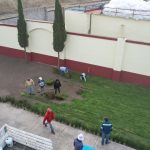 GOBIERNO DE LA ALCALDESA ROSI WONG REFUERZA ACCIONES A FAVOR DEL MEDIO AMBIENTE DE TECÁMAC CON RESCATE DE ESPECIES Y RECUPERACIÓN DE ÁREAS VERDES