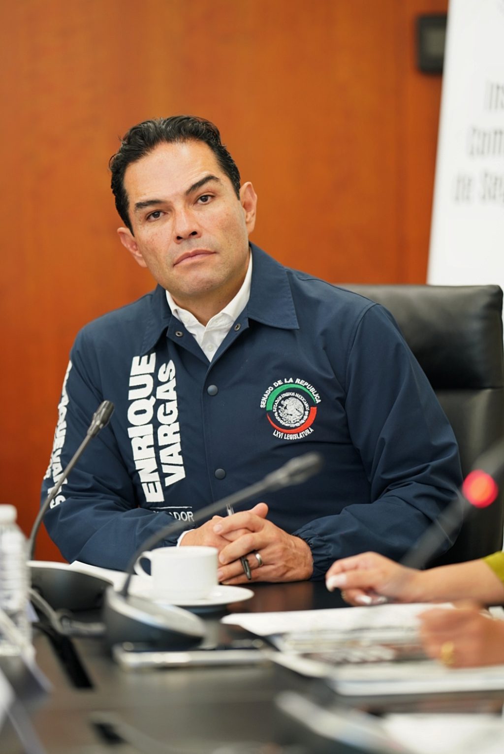 ENRIQUE VARGAS SENADOR (2)