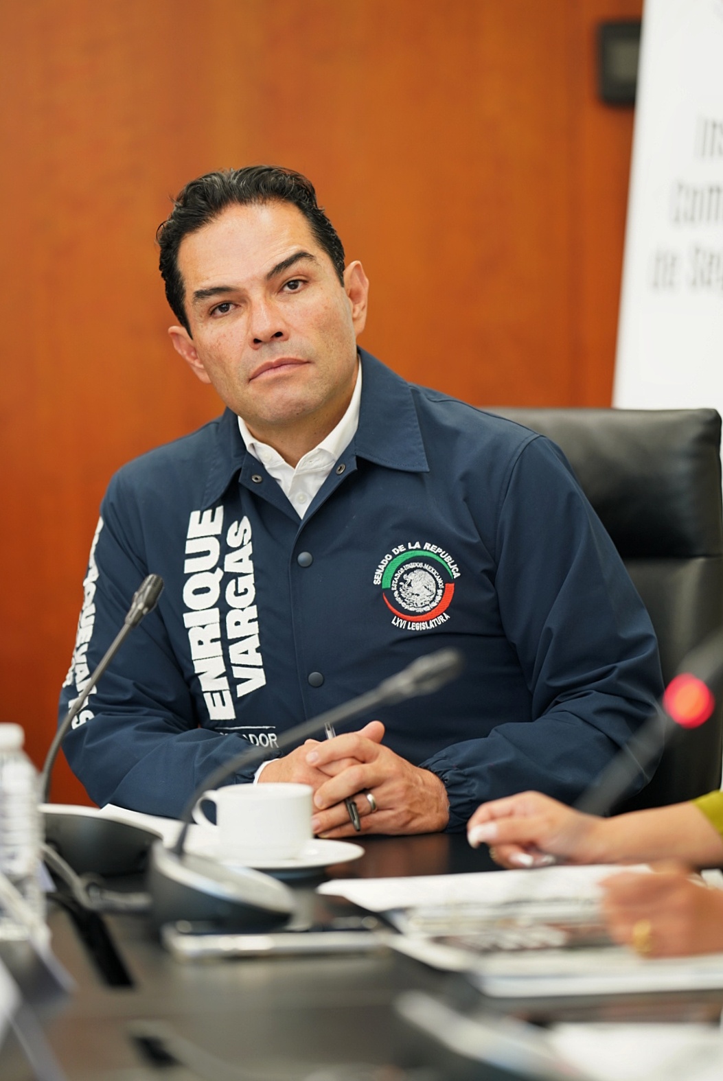ENRIQUE VARGAS SENADOR (2)