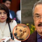 COMEDIANTE ‘EL COSTEÑO ’ RECLAMA QUE NO HAYA CONSECUENCIAS CONTRA SENADORA MARIELA GUTIÉRREZ POR EL SACRIFICIO DE MÁS DE 10,000 PERROS