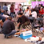 TECÁMAC ALCANZA MÁS DE OCHO MIL ESTERILIZACIONES Y CONTINÚA JORNADAS GRATUITAS EN OCTUBRE